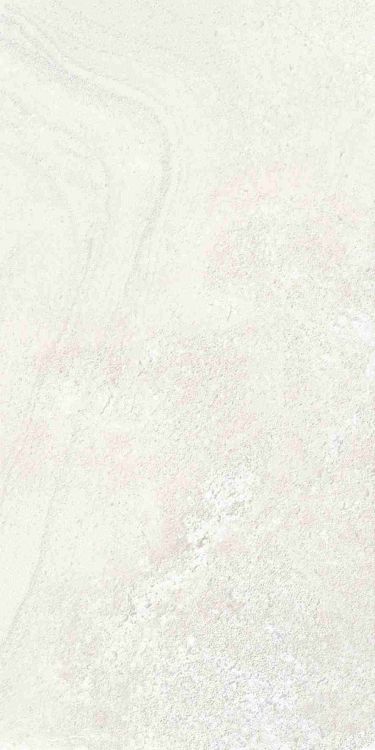 Petra Viva Bone Matte 12 x 24